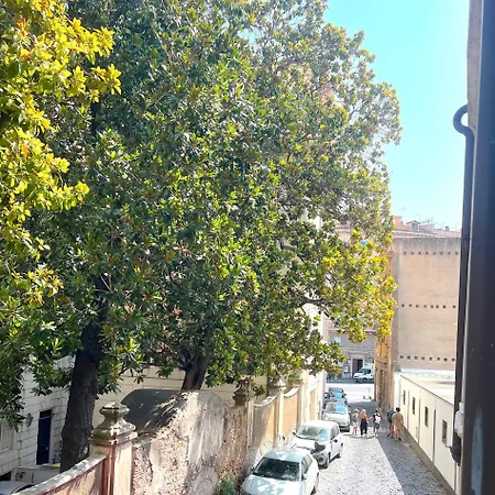 Cimatori Boutique Roma